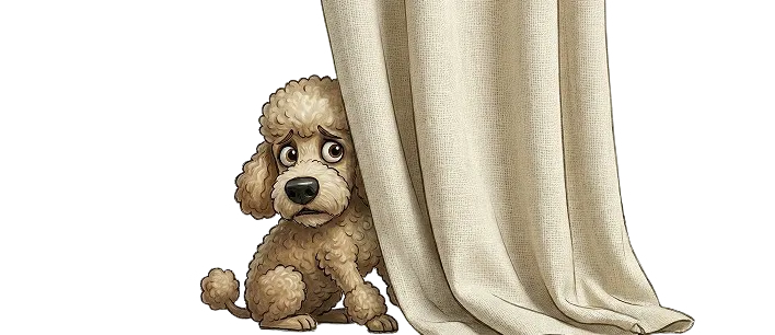 Anxious puppy hiding behind a curtain