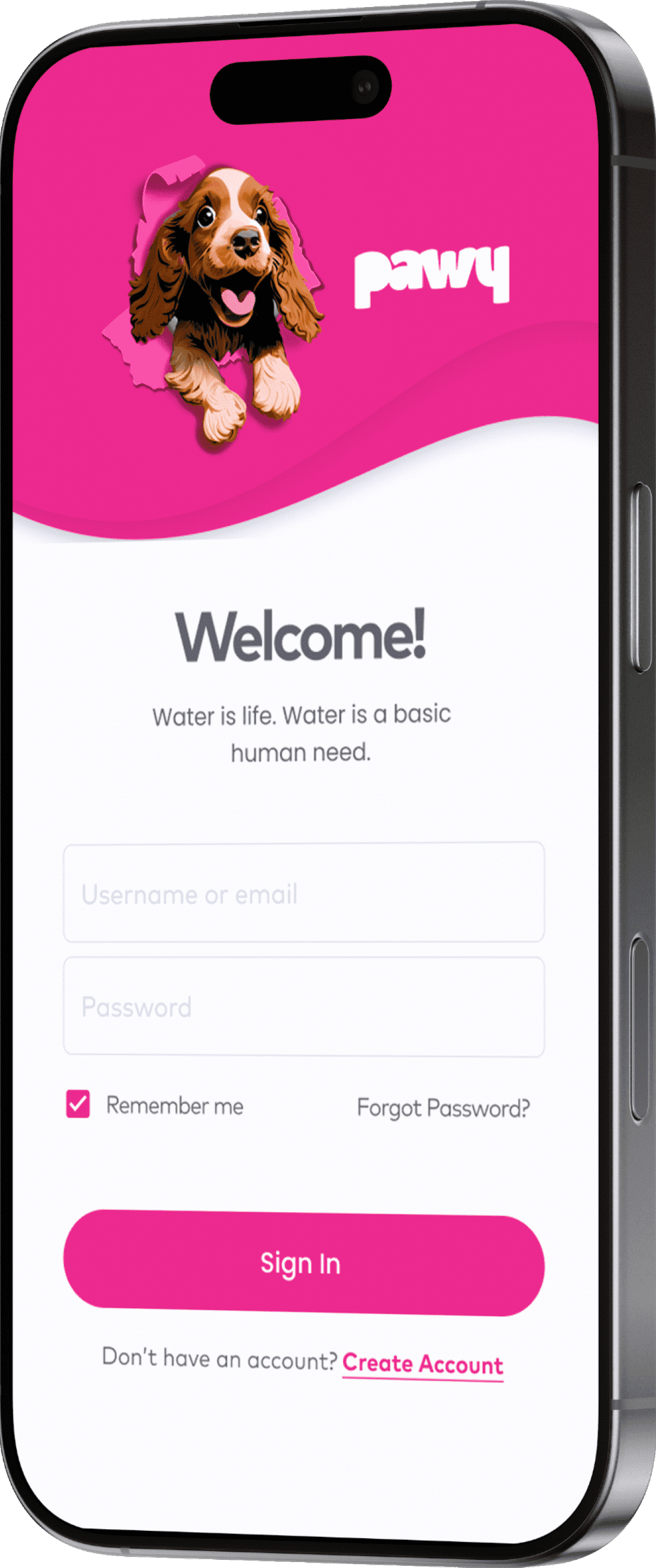 pawy login